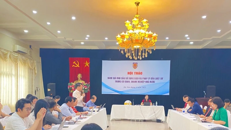 Xây dựng chế định luật sư công đáp ứng yêu cầu tình hình mới