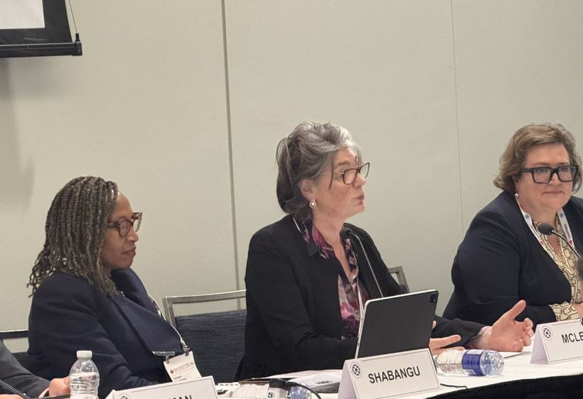 Các diễn giả báo cáo kết quả hoạt động của Ủy ban sức khỏe chuyên môn của BIC.