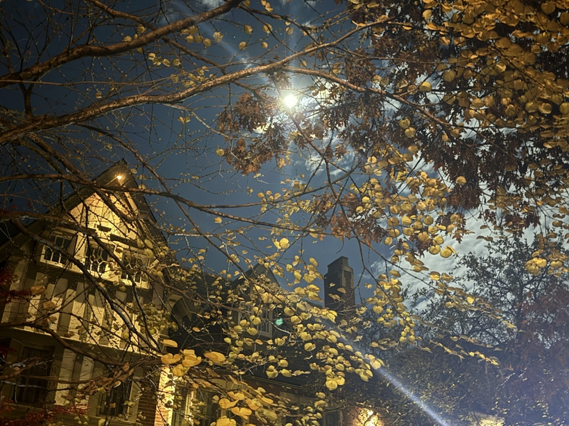 Khu dinh thự nằm ở ngoại ô Toronto, trầm lặng dưới những vòm cây và ánh trăng.